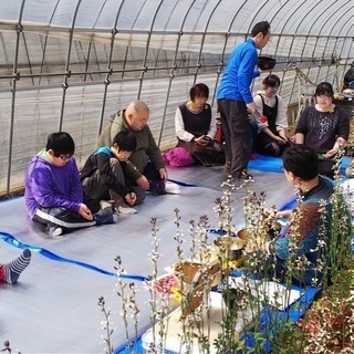 田植え と Reiki(靈氣) − 茨城県