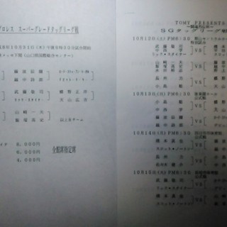 新日本プロレス G1 CLIMAX SPECIAL 闘魂 SPECIAL Vol.117 パンフレットの画像