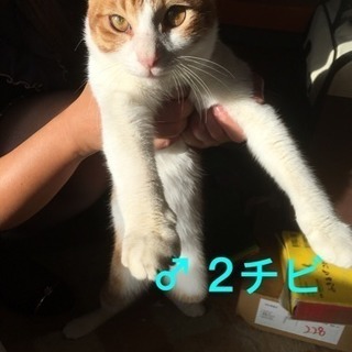 家族になってください