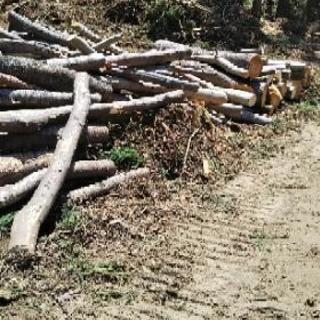ストーブ薪用  軽トラ納得するまで積載