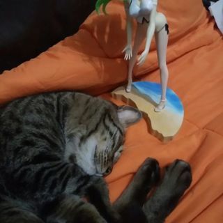 小動物が好きなお友達