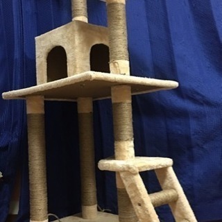 キャットタワー