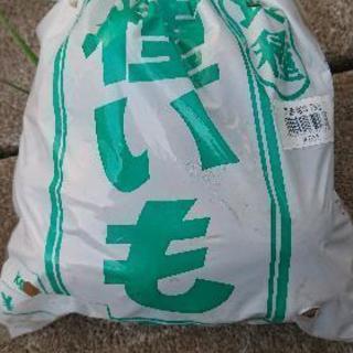 種芋差し上げます  取り引き中
