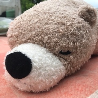 くまのぬいぐるみ型 抱き枕の画像