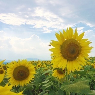 花の名所🌼 - 新宿区