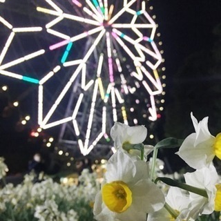 花の名所🌼 − 東京都