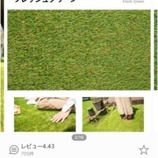 人工芝 リアル人工芝