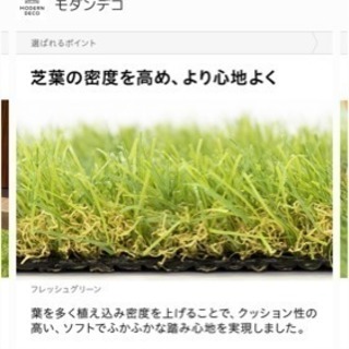 リアル人工芝 1m×10m 新品未開封
