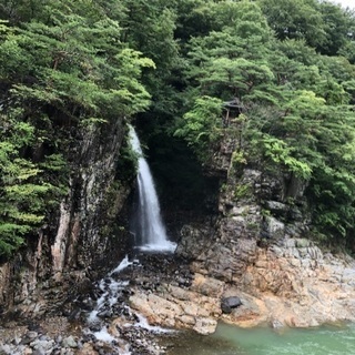 🌸睡蓮 きい❣️電話占い☎️始めました😊💕🌸 - その他