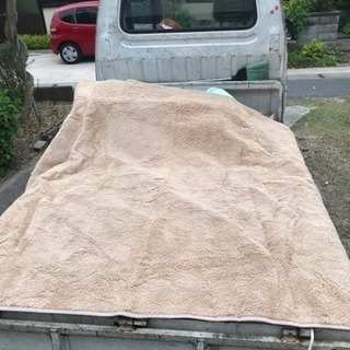 ニトリ スペースラグ