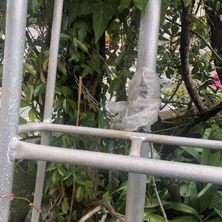 植木専用の脚立