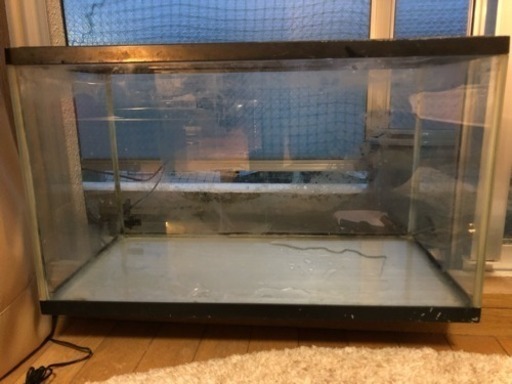 熱帯魚飼育セット