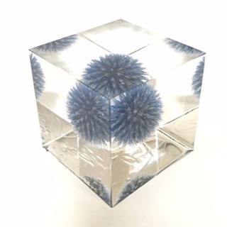 HALUCOLLE認定【クリスタル・アートリウム®︎】テクニカルデザインコース🌿 の画像