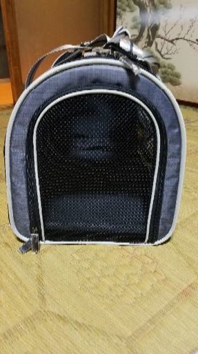 キャリーバック　値下げしました❗　　3500円→2000円