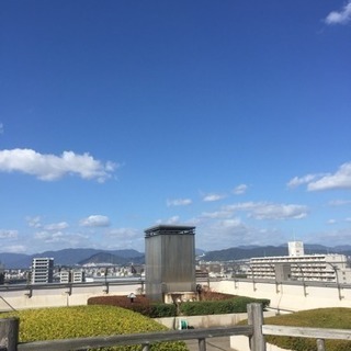 おともだち募集
