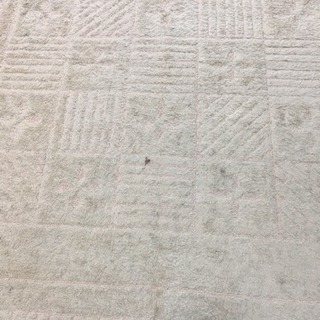 カーペット ２畳用 ①の画像
