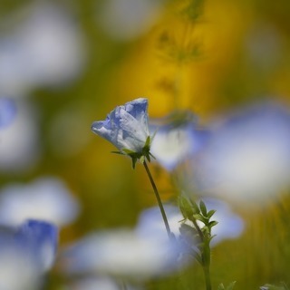自然や楽しい場所へでかけませんか？