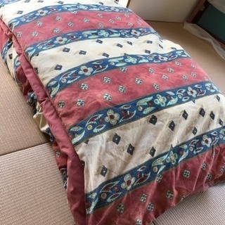 締切りました。薄手羽毛布団 あげます