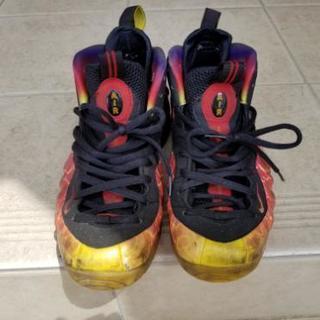 【ジャンク品】NIKE フォームポジット アステロイドの画像