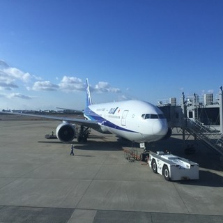 飛行機仲間募集