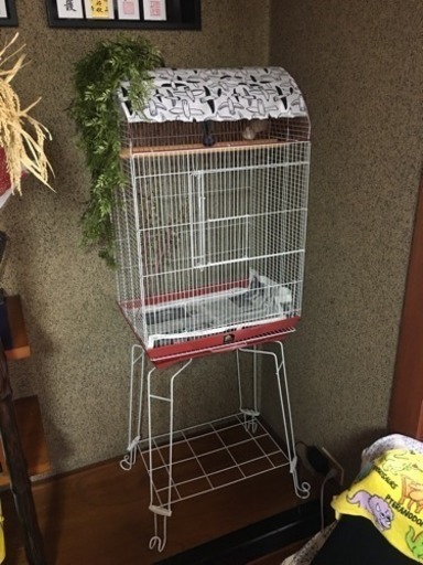 【未使用】大きめの鳥かご レトロ