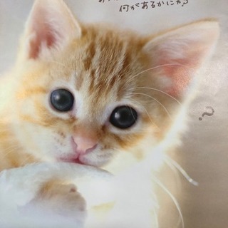 ☆  自宅フリーマーケット (*・｡・)pq もう直ぐ終了します😂