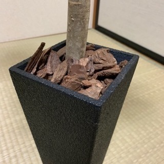 フェイクグリーン 高さ850