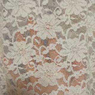 レースの洋服  これからの季節に！  お取引決定の画像