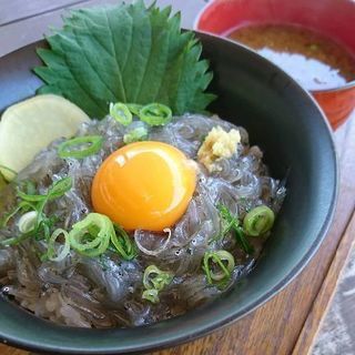 今日、  気軽にツーリング行きませんか～(^^)？  - 津市