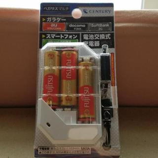 電池交換式充電器 ペガサスマルチ