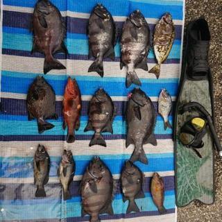 素潜り・魚突き 突行 − 広島県