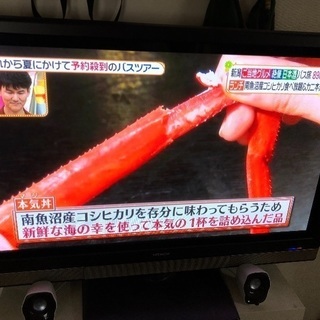 日立 42インチテレビ Wooo P42HV01 録画可能