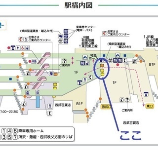 保護猫に与えるキャットフード＆トイレシート　 - 助け合い