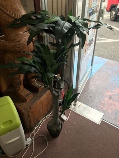 観葉植物 造花
