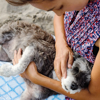 愛犬と一緒に参加できる♪PAWペットアロマセミナー「愛犬と飼い主...