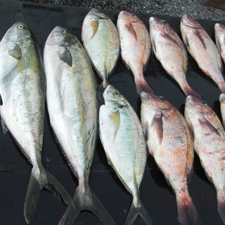 釣り