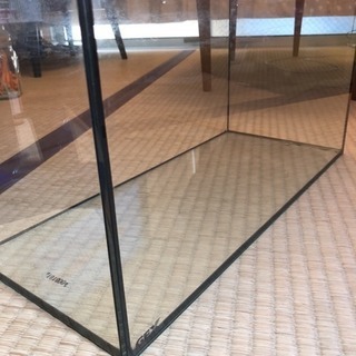 GEX オールガラス水槽 45cm 中型 【5/28まで】都内引...