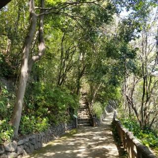 【ウォーキング】歩き仲間募集中🚶‍♂️