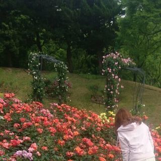 今週、水、木のうち空いてる方で長居植物園に一緒に行って下さる方募...