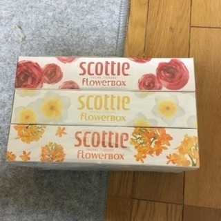 手薄のティシュです