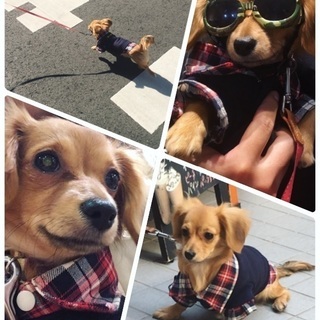 平日10時～18時の間で会える方☺︎ - 渋谷区