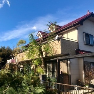 🌴便利屋🌴登録スタッフ 大募集！🌴の画像