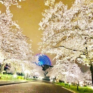 友だち欲しい‼️