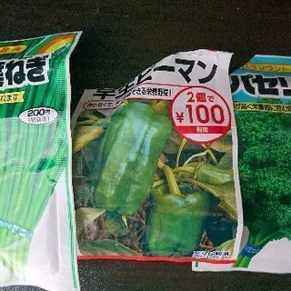 種3種(葉ネギ、ピーマン、パセリ)