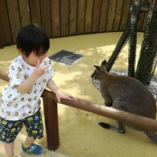平塚市在住ママ友さん募集してます✧*。