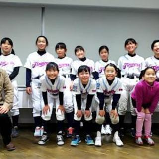 女子野球⚾️選手🌺大募集中