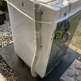 SHARP  全自動洗濯機  6.0キロの画像