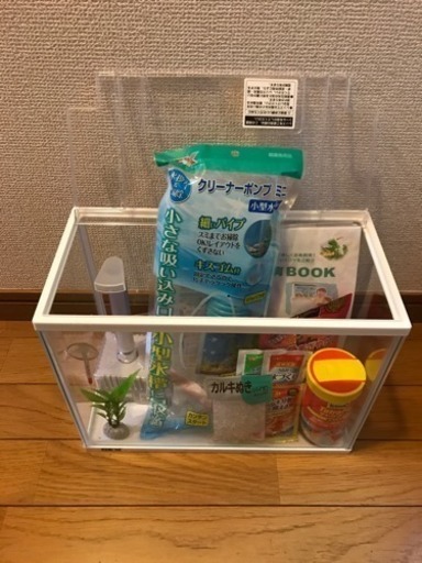 水槽 金魚飼育セット