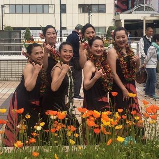 《HULA  SCHOOL》新クラス増設　松戸駅近 の画像