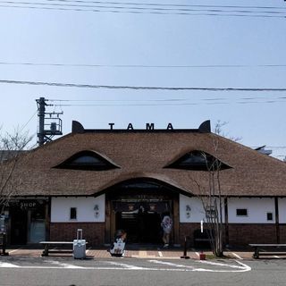 はじめての募集